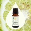 Bergamot Essential Oil 10 mL
