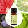 Brain Aid Synergy Essential Oil Blend 10 mL