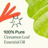 Cinnamon Leaf Essential Oil