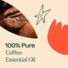Coffee Essential Oil 30 mL