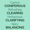 Cypress Essential Oil 10 mL