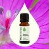 Geranium Egyptian Essential Oil 5 mL