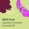 Geranium Egyptian Essential Oil 5 mL