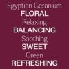 Geranium Egyptian Essential Oil 5 mL