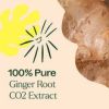 Ginger Root CO2 Extract 10 mL