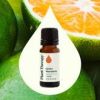 Mandarin Essential Oil 10 mL
