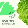 Gut Aid Essential Oil Blend 30 mL