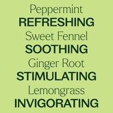 Gut Aid Essential Oil Blend 30 mL