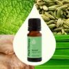 Gut Aid Essential Oil Blend 30 mL