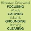 Cedarwood Himalayan Essential Oil 10 mL