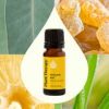 Immune Aid Synergy Essential Oil 10 mL