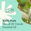 Niaouli 1,8-Cineole Essential Oil 10 mL