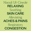 Niaouli 1,8-Cineole Essential Oil 10 mL