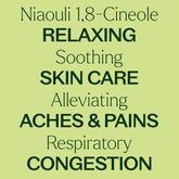 Niaouli 1,8-Cineole Essential Oil 10 mL