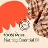 Nutmeg Essential Oil 10 mL