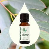 Eucalyptus Globulus Organic Essential Oil 10 mL
