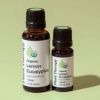 Lemon Eucalyptus Organic Essential Oil 10 mL