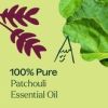 Palmarosa Essential Oil 30 mL
