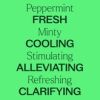 Peppermint Essential Oil 30 mL