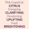 Grapefruit Pink Essential Oil 30 mL