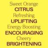 Orange Sweet Essential Oil 10 mL