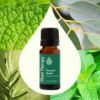 Rapid Relief Synergy Essential Oil 30 mL