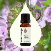 Thyme Thymol Essential Oil 10 mL