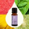 Tranquil Synergy Essential Oil 10 mL