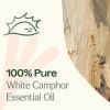 Camphor Essential Oil 10 mL