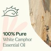 Camphor Essential Oil 10 mL