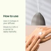 Wintergreen Essential Oil 10 mL