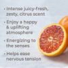 Orange Blood Essential Oil 10mL
