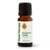 Cinnamon Cassia Essential Oil 10 mL