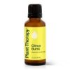 Citrus Burst Essential Oil Blend 10ml